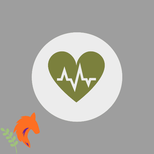 카지노사이트 보너스